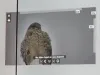 Vedeta de pe Aeroportul Braşovului