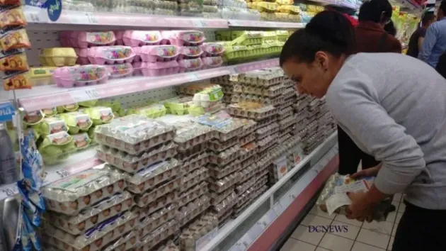 Ouăle s-ar putea scumpi din cauza gripei aviare care a cuprins Europa