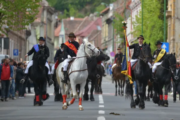 Primăria legiferează „urgenţa culturală”. 550.000 de lei de cheltuială