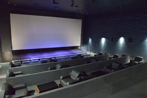 Filmele României de patrimoniu, dar şi producţii recente, la Cinema Astra