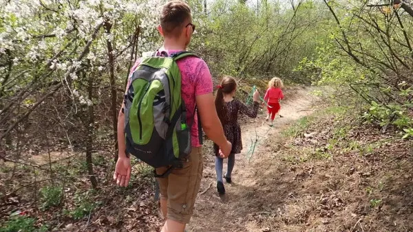 Cetăţenii vor avea acces liber pe jos în toate pădurile