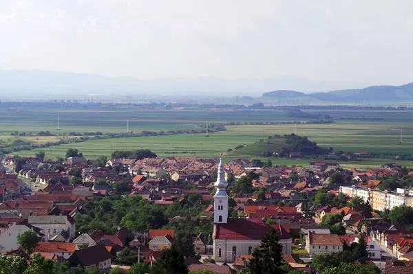 Dar cu calul ce-a avut?