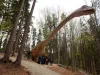 Intrare liberă la Dino Parc Râşnov pentru toţi elevii din ţară