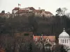 „Toţi cei care şi-au bătut joc, să plătească”