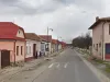 Urmărită pe stradă, atinsă în zonele intime