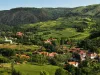 Şi-a obligat familia să se rupă de lume. Fără şcoală şi fără medicamente, doar cu Biblia