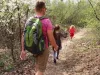 Cetăţenii vor avea acces liber pe jos în toate pădurile