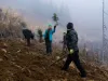 Direcţia Silvică Braşov începe împăduririle de primăvară