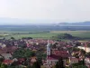 Dar cu calul ce-a avut?