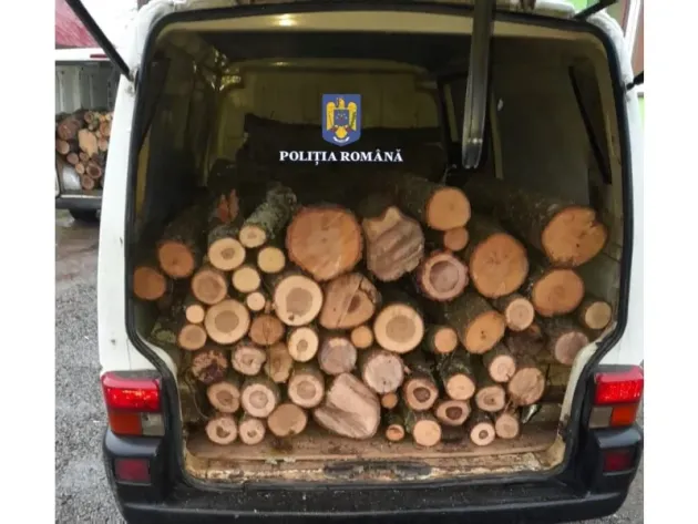 Cu stejarul ascuns în dubă