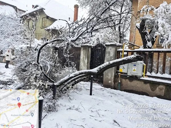 Peste 50 de arbori, afectați de ninsoarea abundentă. Deszăpezirea Brașovului a durat peste 36 de ore