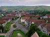 Scandal la Arini: Încăierare în 6, cu tentativă de omor