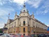 Ce i-a lipsit Primăriei Braşov să fie de nota 10 în ceea ce priveşte transparenţa în adoptarea bugetului 