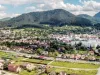 Săcele: Buget pentru „cumpărarea” a 200 de rable 