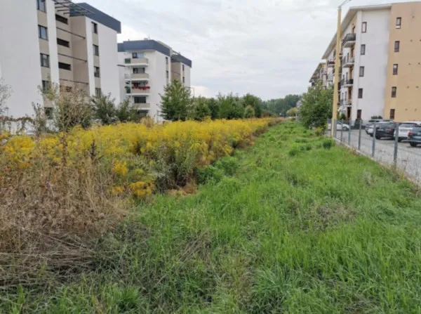 Braşovenii, avertizaţi să scape de iarba pârloagelor