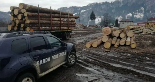 Gater din Sânpetru, amendat cu 10.000 de lei