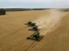 România, al doilea mare exportator de grâu din UE