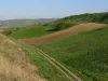 Pentru a amenaja patru mese cu bănci pentru turişti, Primăria Săcele va trebui să scoată 56 mp din fondul forestier