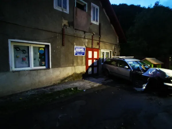 Șoferiță, în bordură