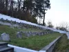 Primăria Braşov va plăti 87.584 lei, pentru a vedea cât de solide sunt zidurile a două cimitire