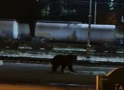 Acuş şi prin tren…