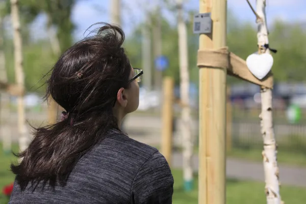 Braşovul ar putea avea o „pădure memorială”. Dacă sunt de acord consilierii