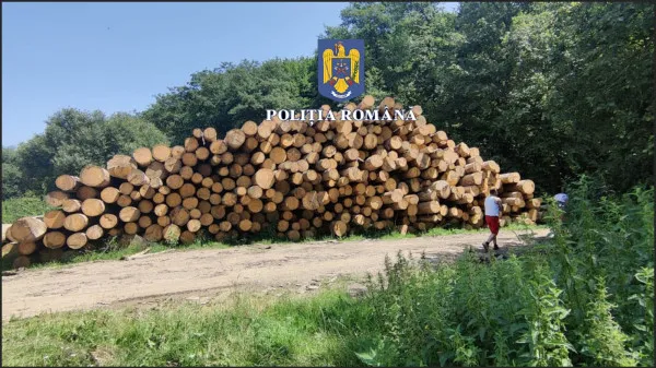 Ocol silvic, amendat cu 7.000 de lei