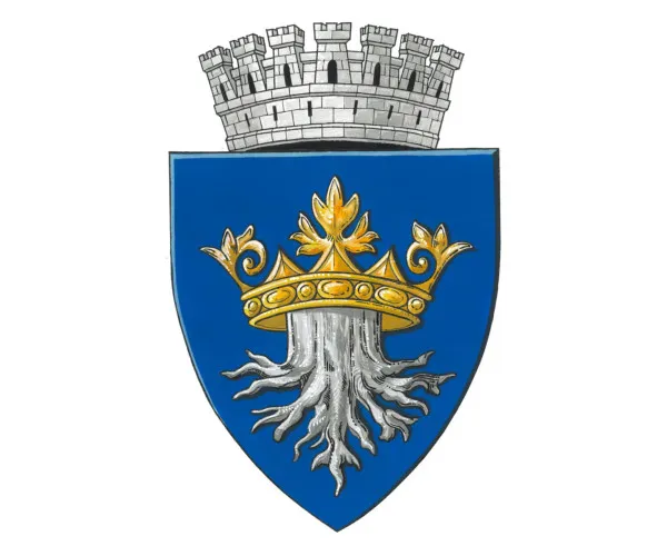 Stema Braşovului, întoarsă la Consiliul Local Braşov