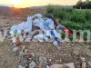 Pe marginea DN 73: Proprietar de teren prins cu „gunoiul sub preş”
