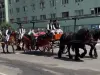 Nuntă altfel, cu trăsura, în Noua