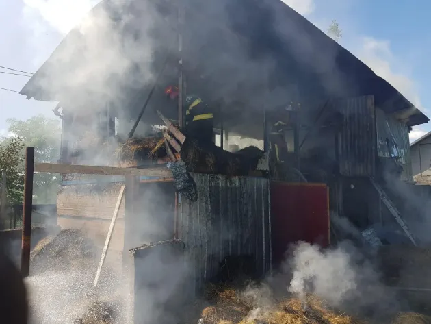 Incendiu la o fermă de porci din Feldioara