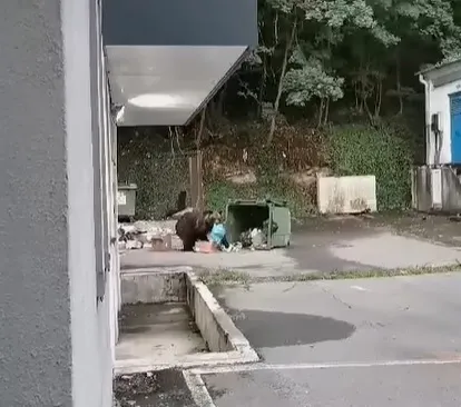 Policlinica din Râşnov, dotată cu gard anti-urs