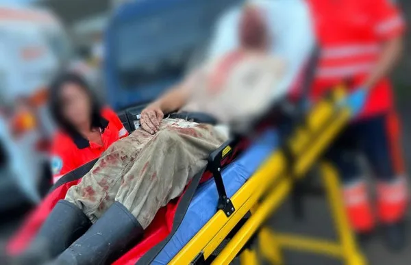Acelaşi urs, în acelaşi loc