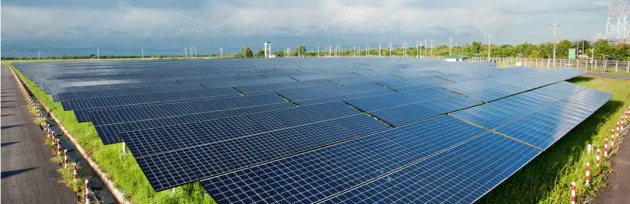 Panouri fotovoltaice în loc de păşuni sau terenuri arabile