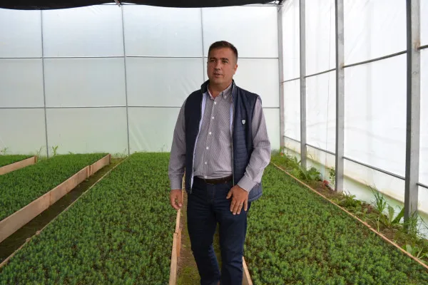 Ocolul Silvic din Râşnov vrea să modernizeze pepiniera europeană