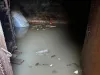 Rupere de nori peste Râşnov