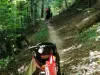 Doamna care i-a speriat pe bicicliştii de pe Postăvarul