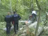 27 de arbori, pregătiţi pentru a fi furaţi