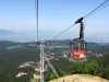 Nou în Poiana Braşov: Cu bicicleta în telescaun