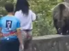 La un pas de tragedie: O mamă aproape şi-a „servit” copilul ursului pe Transfăgărăşan