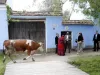 „Dacă turiştii ar putea, şi-ar parca maşina în baie”