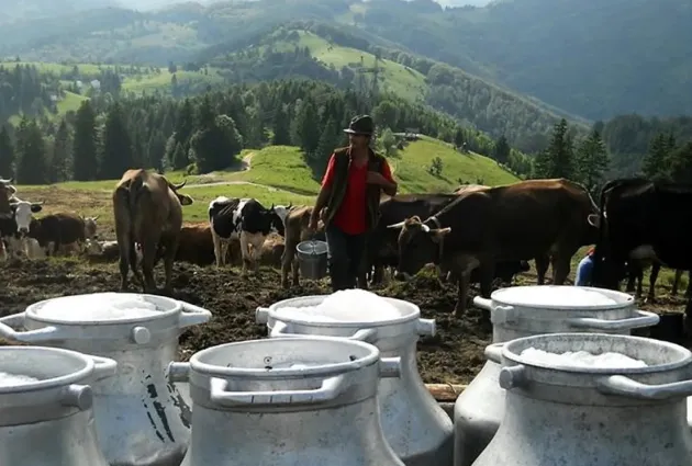 Dacă vreţi să slăbiţi