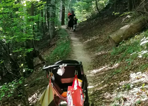 Doamna care i-a speriat pe bicicliştii de pe Postăvarul