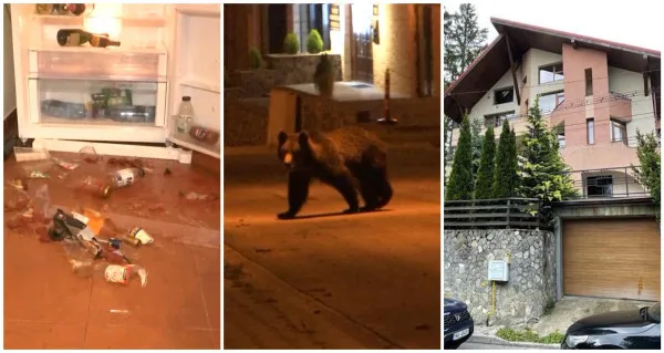 „Ursul mi-a băut tot whisky-ul”