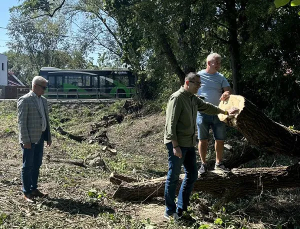 Sălciile, principalul pericol pentru stupinarii care stau în zona Canalului ANIF
