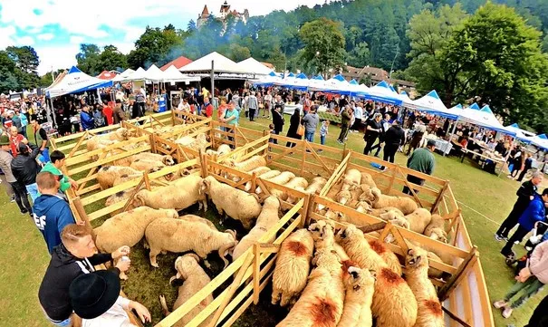 Brânza şi pastrama, sărbătorite la Bran   