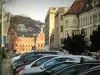 „Planurile lui Coliban pentru brașoveni în 2030”. Un fake news a născut discuții aprinse pe grupul de whatsapp al PSD Brașov