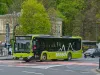 S-a reluat licitaţia pentru benzile dedicate pentru autobuze