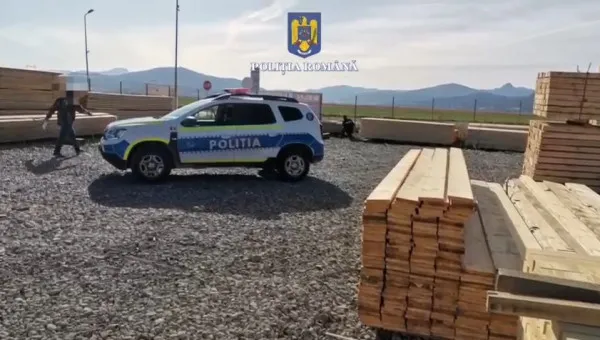 Amenzi şi dosar penal pentru două transporturi fictive de lemne
