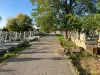 Braşovul, aproape de o „criză a locurilor de veci”. „Dacă vine un val precum cel precedent de Covid, braşovenii nu mai vor avea unde să îşi îngroape morţii”